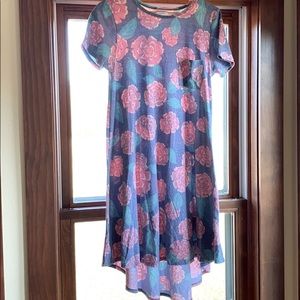 LulaRoe Carly Dress